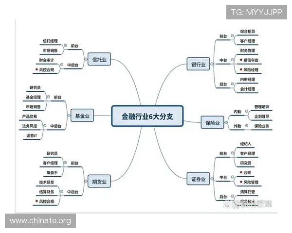 亚星国际金融全面解析：如何实现全球资产配置与风险控制